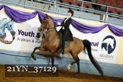 21YN_37129 thumbnail