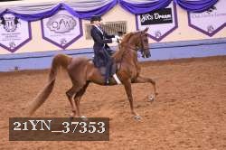 21YN_37353 thumbnail