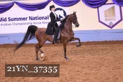 21YN_37355 thumbnail