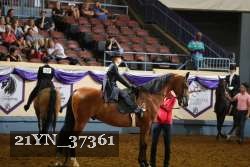 21YN_37361 thumbnail