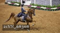 21YN_68308 thumbnail