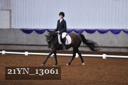 21YN_13061 thumbnail