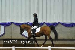 21YN_13071 thumbnail