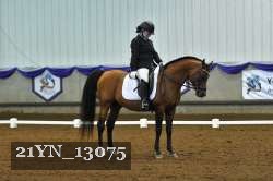 21YN_13075 thumbnail