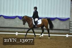 21YN_13077 thumbnail