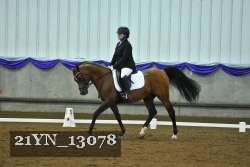 21YN_13078 thumbnail