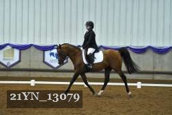 21YN_13079 thumbnail