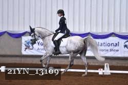 21YN_13109 thumbnail