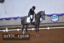 21YN_13118 thumbnail