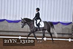 21YN_13120 thumbnail