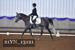 21YN_13121 thumbnail