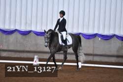 21YN_13127 thumbnail