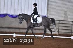 21YN_13131 thumbnail