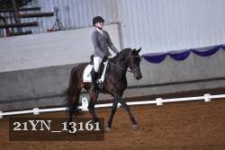 21YN_13161 thumbnail