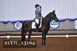 21YN_13164 thumbnail