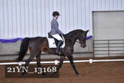 21YN_13168 thumbnail