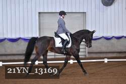 21YN_13169 thumbnail
