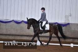 21YN_13170 thumbnail