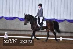 21YN_13171 thumbnail