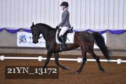 21YN_13172 thumbnail