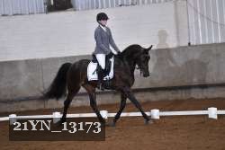 21YN_13173 thumbnail