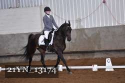 21YN_13174 thumbnail