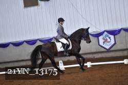 21YN_13175 thumbnail