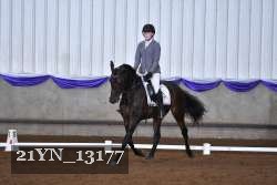 21YN_13177 thumbnail