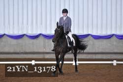 21YN_13178 thumbnail