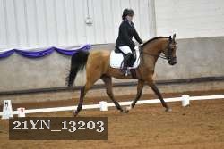 21YN_13203 thumbnail