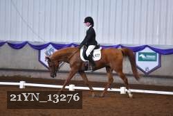 21YN_13276 thumbnail