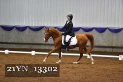 21YN_13302 thumbnail