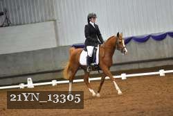 21YN_13305 thumbnail