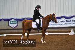 21YN_13307 thumbnail