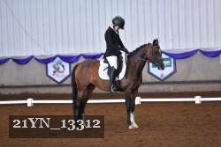 21YN_13312 thumbnail