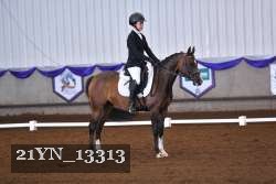 21YN_13313 thumbnail