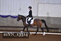 21YN_13314 thumbnail