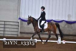 21YN_13315 thumbnail