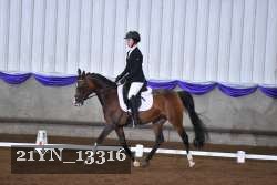 21YN_13316 thumbnail