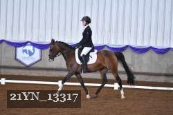21YN_13317 thumbnail