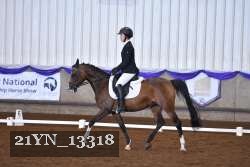 21YN_13318 thumbnail
