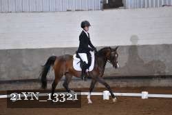 21YN_13321 thumbnail