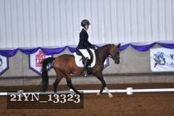 21YN_13323 thumbnail