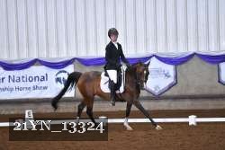 21YN_13324 thumbnail