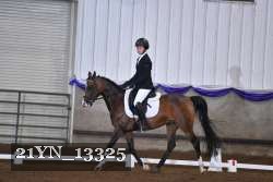 21YN_13325 thumbnail