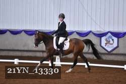 21YN_13330 thumbnail