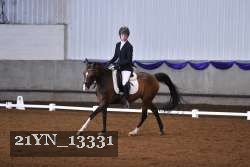 21YN_13331 thumbnail