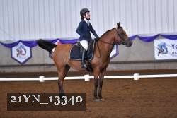 21YN_13340 thumbnail
