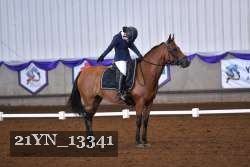 21YN_13341 thumbnail