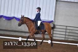 21YN_13346 thumbnail